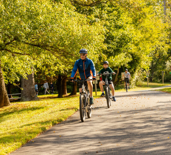 decorative restaurant image