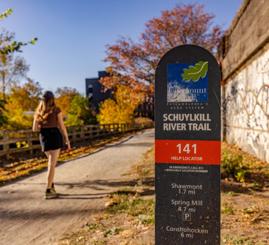 decorative restaurant image