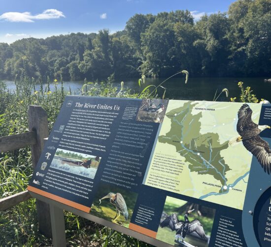 decorative restaurant image